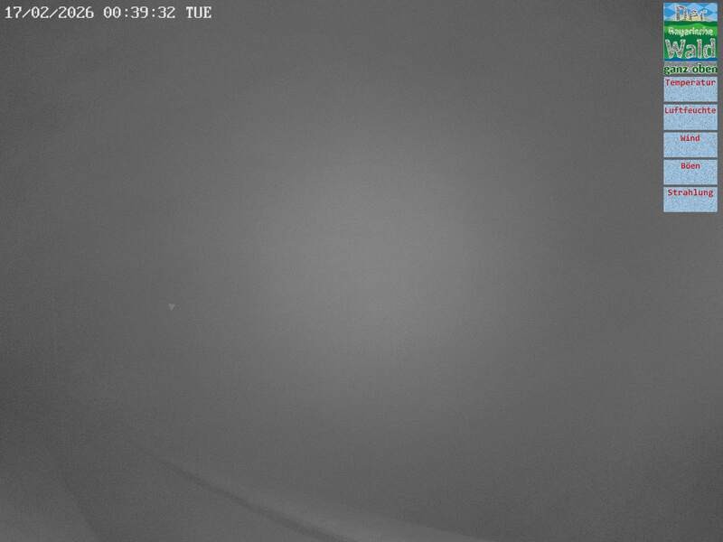 Archiv Foto Webcam DSV Nordic Aktivzentrum Waldmünchen-Althütte - Osten