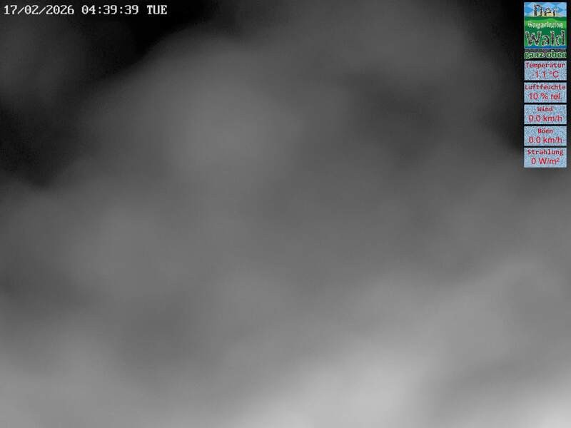 Archiv Foto Webcam DSV Nordic Aktivzentrum Waldmünchen-Althütte - Osten