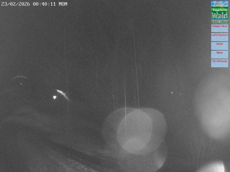 Archiv Foto Webcam DSV Nordic Aktivzentrum Waldmünchen-Althütte - Osten