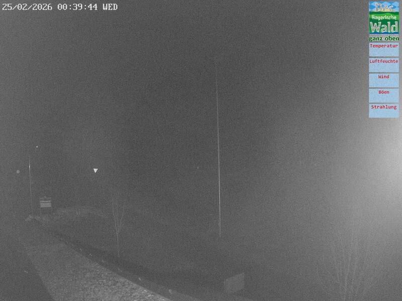 Archiv Foto Webcam DSV Nordic Aktivzentrum Waldmünchen-Althütte - Osten