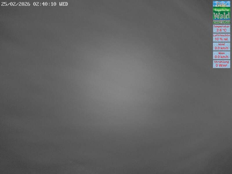 Archiv Foto Webcam DSV Nordic Aktivzentrum Waldmünchen-Althütte - Osten