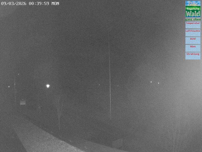 Archiv Foto Webcam DSV Nordic Aktivzentrum Waldmünchen-Althütte - Osten