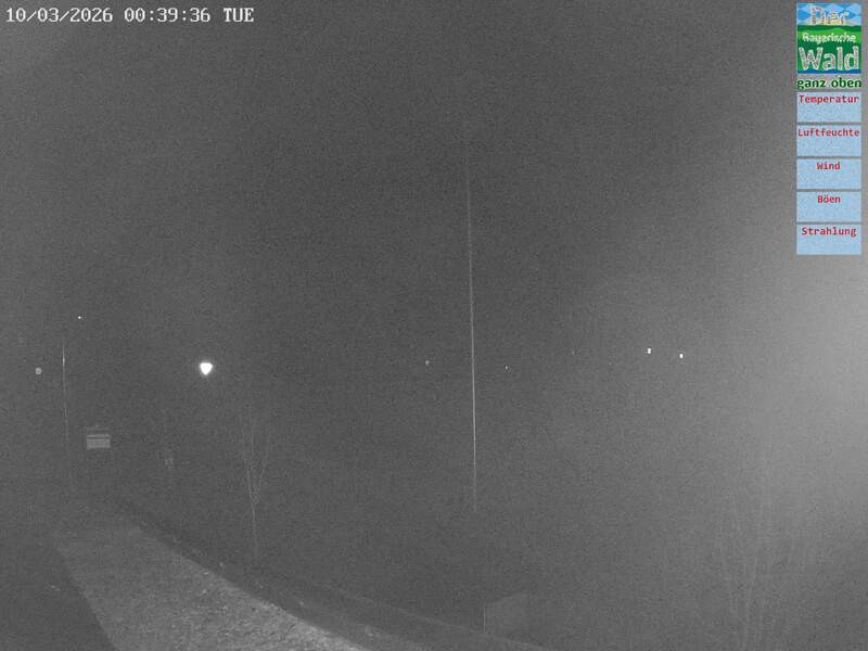 Archiv Foto Webcam DSV Nordic Aktivzentrum Waldmünchen-Althütte - Osten