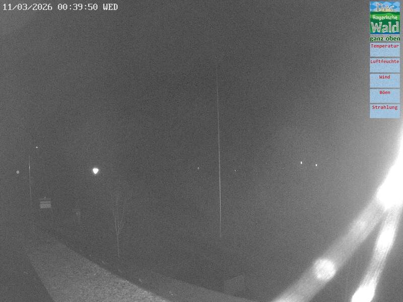 Archiv Foto Webcam DSV Nordic Aktivzentrum Waldmünchen-Althütte - Osten