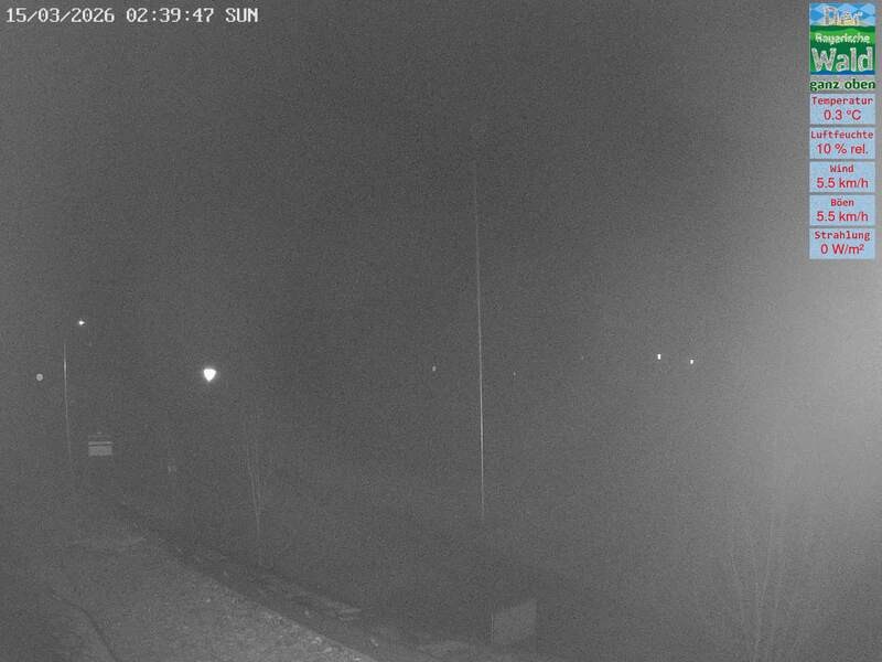 Archived image Webcam DSV Nordic Aktivzentrum Waldmünchen-Althütte - East