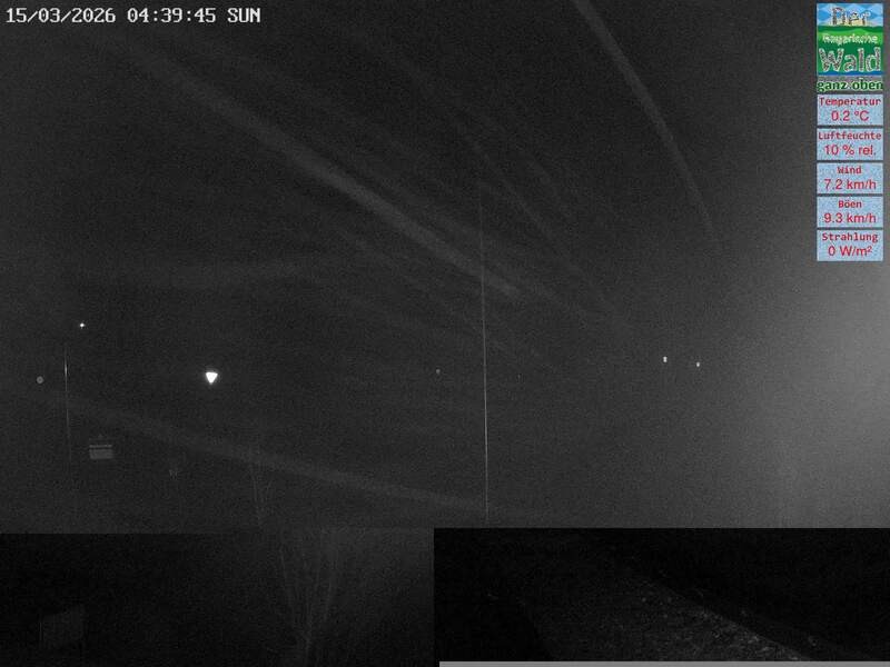 Archived image Webcam DSV Nordic Aktivzentrum Waldmünchen-Althütte - East