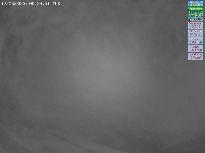 Archiv Foto Webcam DSV Nordic Aktivzentrum Waldmünchen-Althütte - Osten