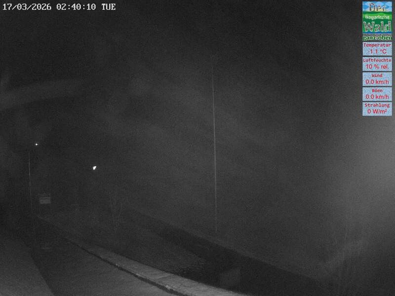 Archiv Foto Webcam DSV Nordic Aktivzentrum Waldmünchen-Althütte - Osten