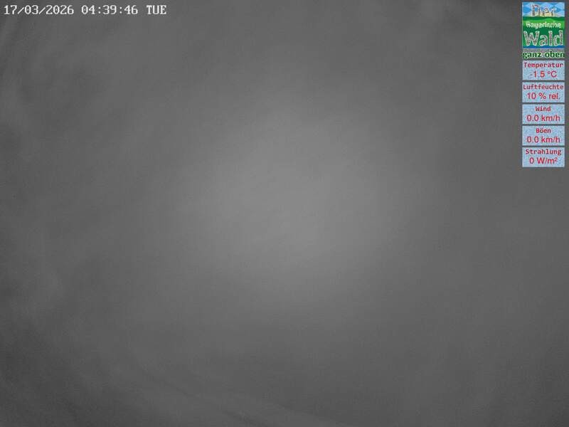 Archiv Foto Webcam DSV Nordic Aktivzentrum Waldmünchen-Althütte - Osten