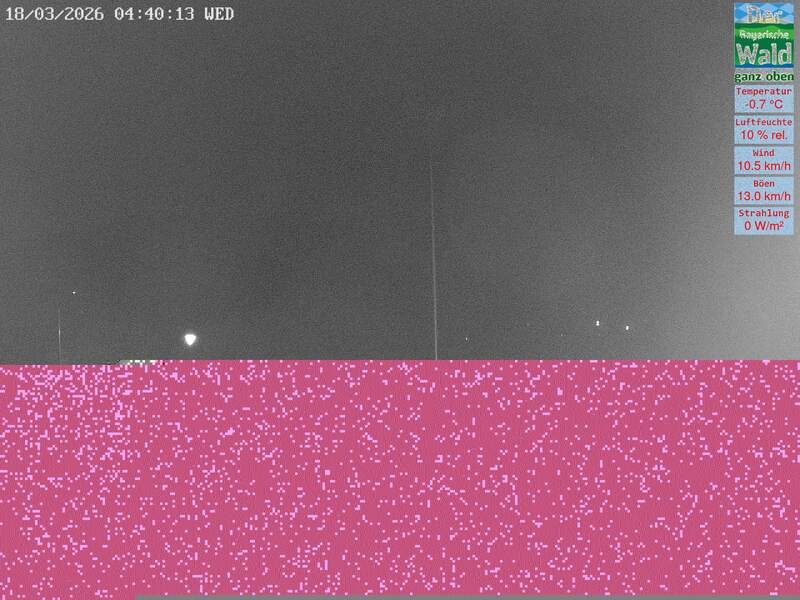 Archiv Foto Webcam DSV Nordic Aktivzentrum Waldmünchen-Althütte - Osten