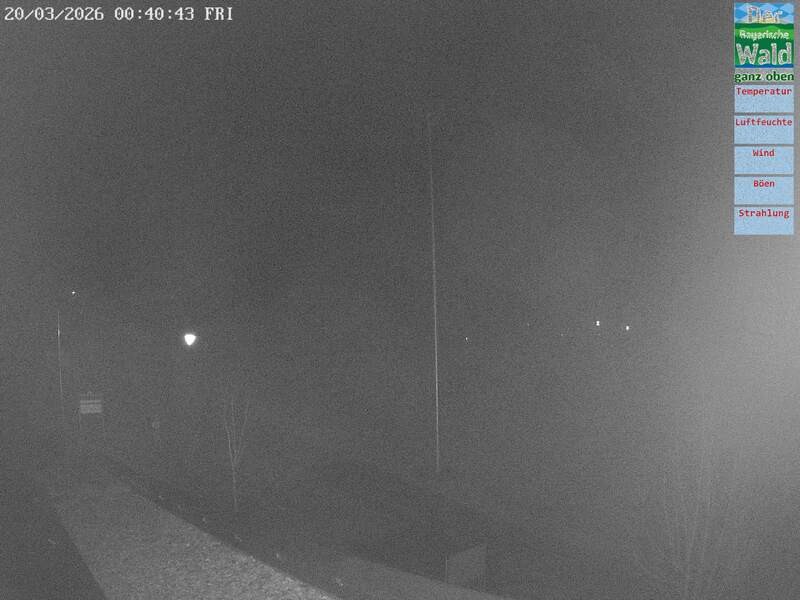 Archiv Foto Webcam DSV Nordic Aktivzentrum Waldmünchen-Althütte - Osten