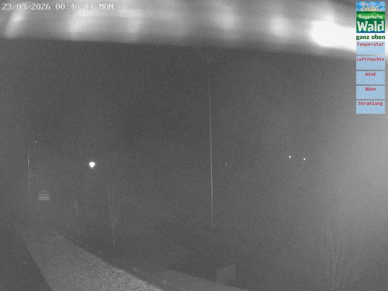 Archiv Foto Webcam DSV Nordic Aktivzentrum Waldmünchen-Althütte - Osten