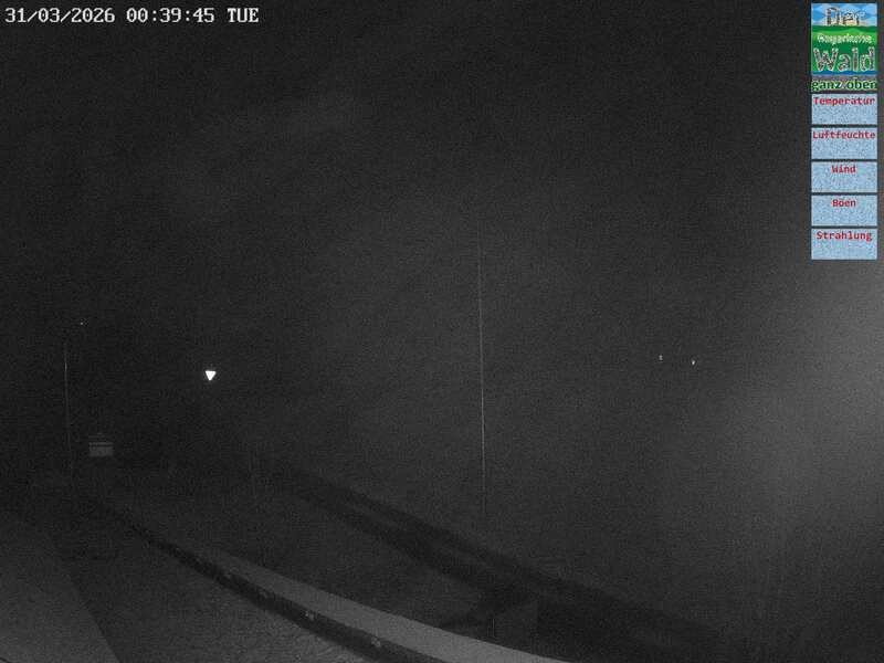 Archiv Foto Webcam DSV Nordic Aktivzentrum Waldmünchen-Althütte - Osten