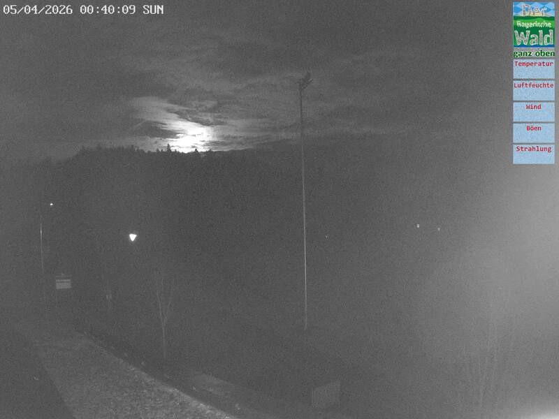 Archiv Foto Webcam DSV Nordic Aktivzentrum Waldmünchen-Althütte - Osten