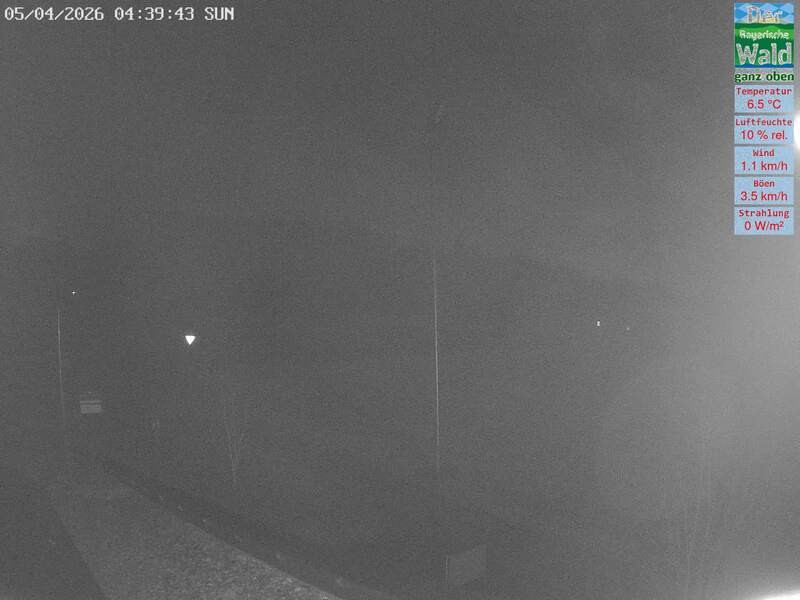 Archiv Foto Webcam DSV Nordic Aktivzentrum Waldmünchen-Althütte - Osten