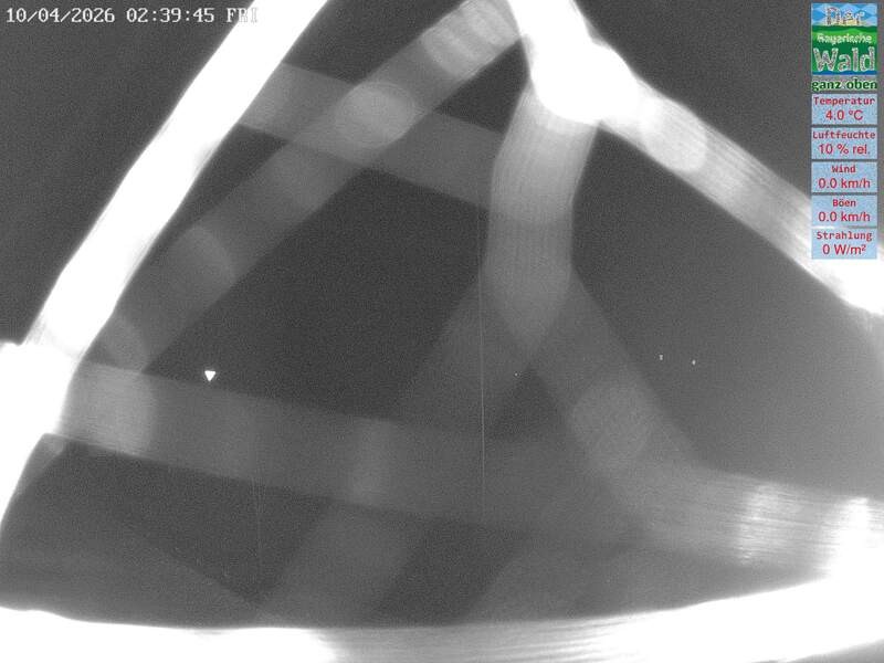 Archiv Foto Webcam DSV Nordic Aktivzentrum Waldmünchen-Althütte - Osten