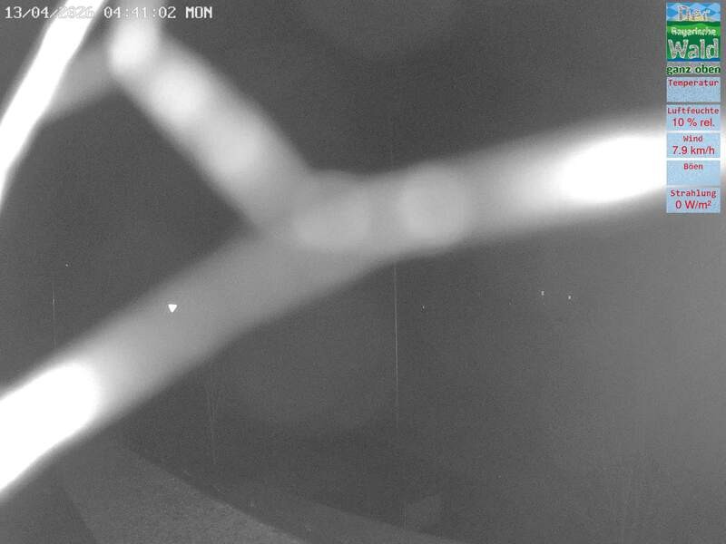 Archived image Webcam DSV Nordic Aktivzentrum Waldmünchen-Althütte - East