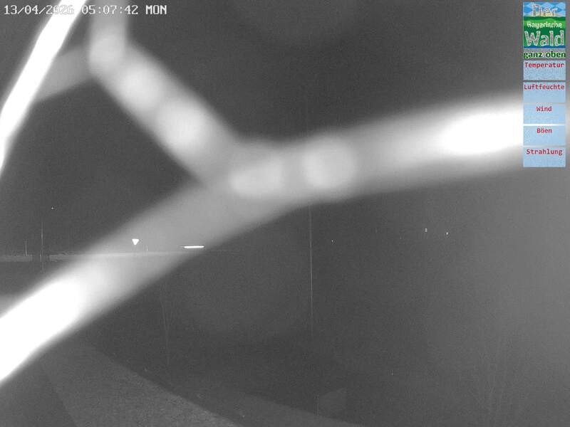 Archived image Webcam DSV Nordic Aktivzentrum Waldmünchen-Althütte - East