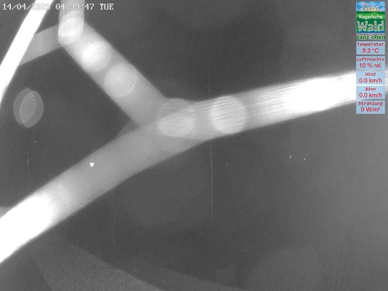 Archived image Webcam DSV Nordic Aktivzentrum Waldmünchen-Althütte - East