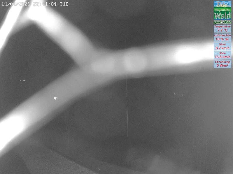 Archived image Webcam DSV Nordic Aktivzentrum Waldmünchen-Althütte - East