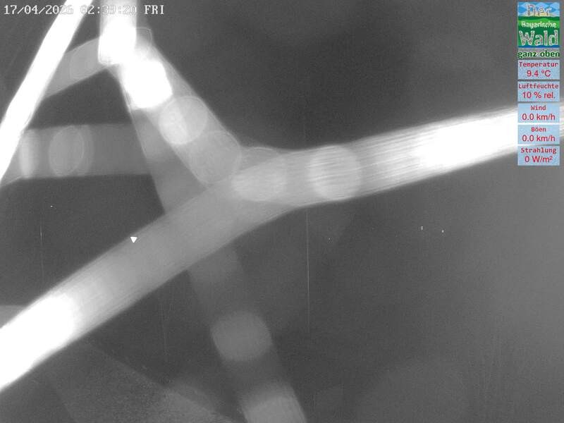 Archived image Webcam DSV Nordic Aktivzentrum Waldmünchen-Althütte - East