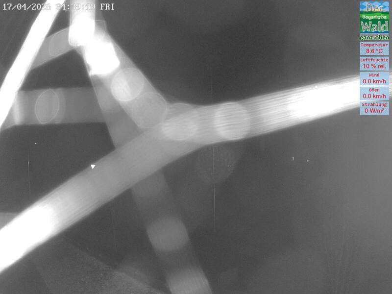 Archived image Webcam DSV Nordic Aktivzentrum Waldmünchen-Althütte - East