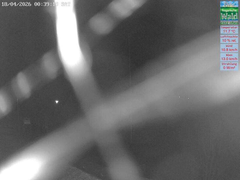 Archiv Foto Webcam DSV Nordic Aktivzentrum Waldmünchen-Althütte - Osten