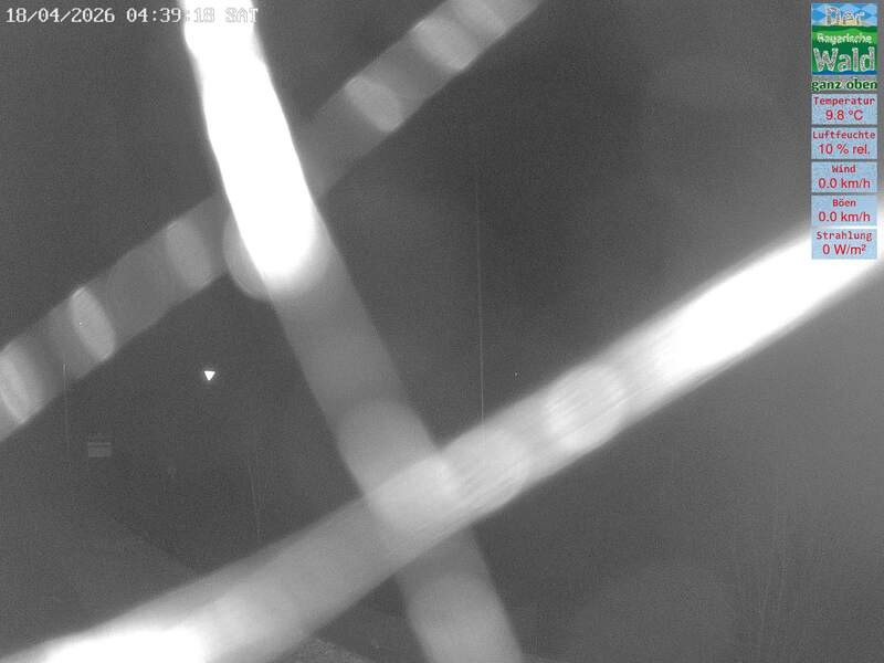 Archiv Foto Webcam DSV Nordic Aktivzentrum Waldmünchen-Althütte - Osten