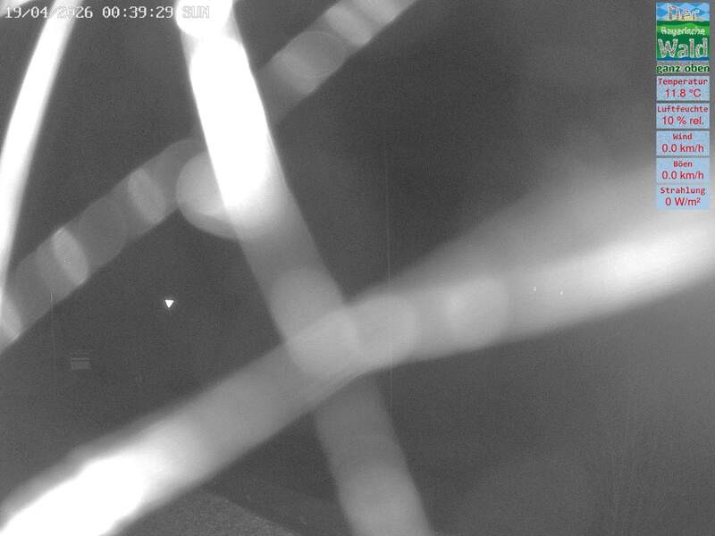 Archiv Foto Webcam DSV Nordic Aktivzentrum Waldmünchen-Althütte - Osten