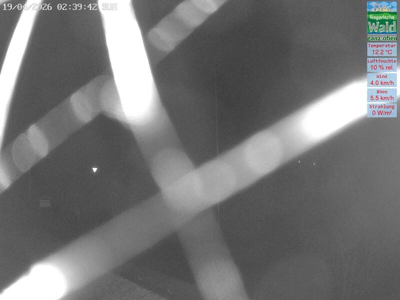 Archiv Foto Webcam DSV Nordic Aktivzentrum Waldmünchen-Althütte - Osten