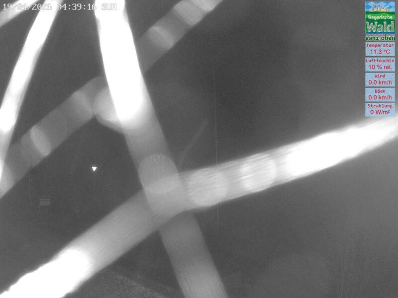 Archiv Foto Webcam DSV Nordic Aktivzentrum Waldmünchen-Althütte - Osten