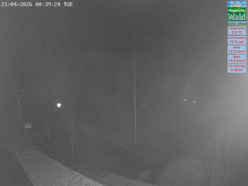 Archiv Foto Webcam DSV Nordic Aktivzentrum Waldmünchen-Althütte - Osten