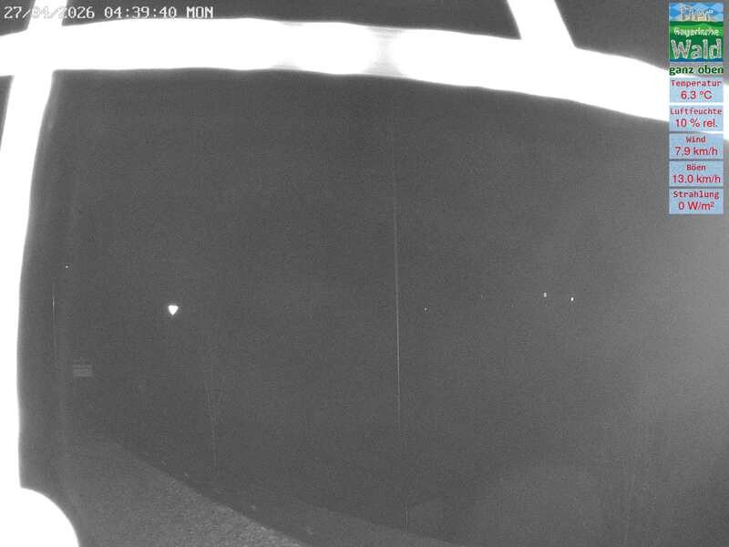 Archiv Foto Webcam DSV Nordic Aktivzentrum Waldmünchen-Althütte - Osten