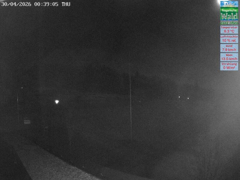 Archiv Foto Webcam DSV Nordic Aktivzentrum Waldmünchen-Althütte - Osten