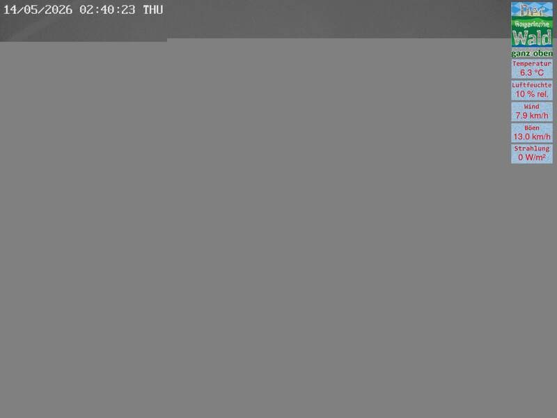 Archiv Foto Webcam DSV Nordic Aktivzentrum Waldmünchen-Althütte - Osten
