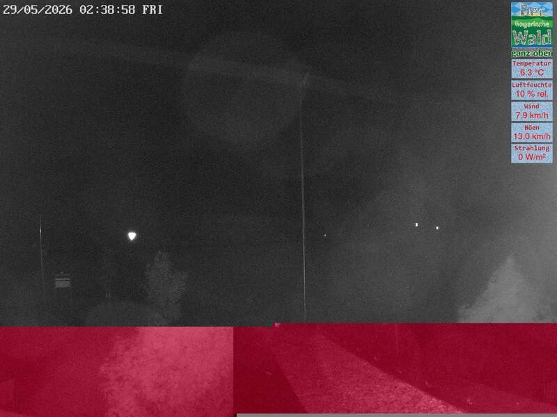 Archiv Foto Webcam DSV Nordic Aktivzentrum Waldmünchen-Althütte - Osten