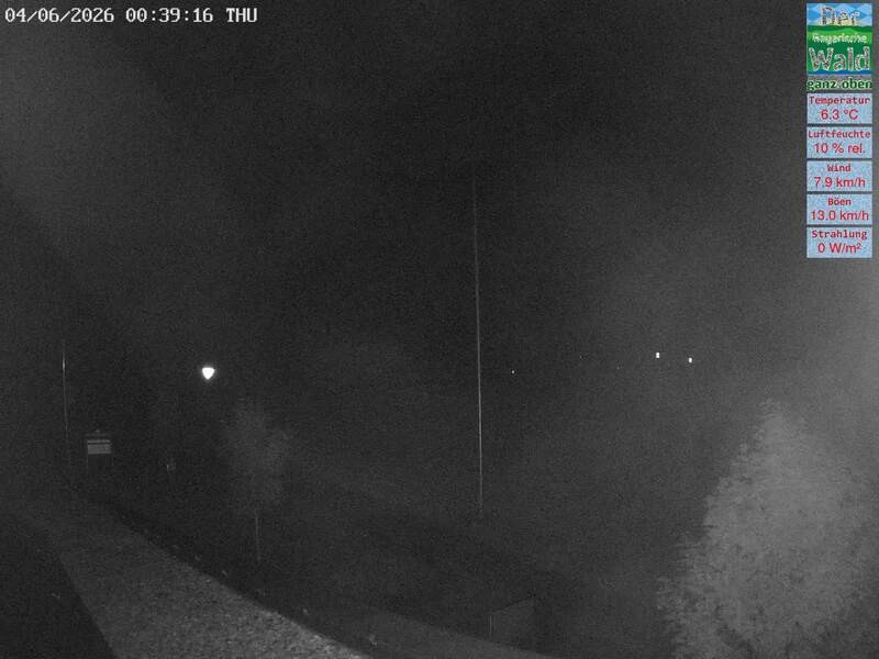 Archiv Foto Webcam DSV Nordic Aktivzentrum Waldmünchen-Althütte - Osten