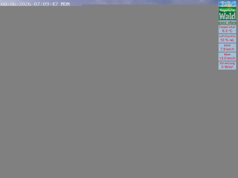 Archiv Foto Webcam DSV Nordic Aktivzentrum Waldmünchen-Althütte - Osten