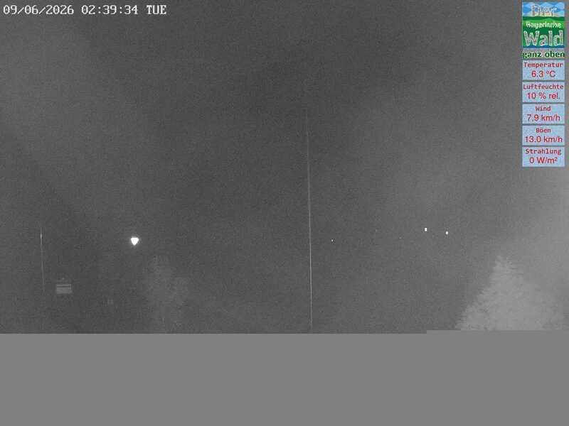 Archiv Foto Webcam DSV Nordic Aktivzentrum Waldmünchen-Althütte - Osten