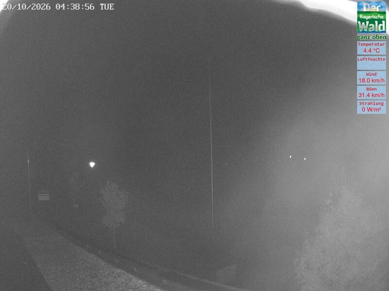 Archiv Foto Webcam DSV Nordic Aktivzentrum Waldmünchen-Althütte - Osten