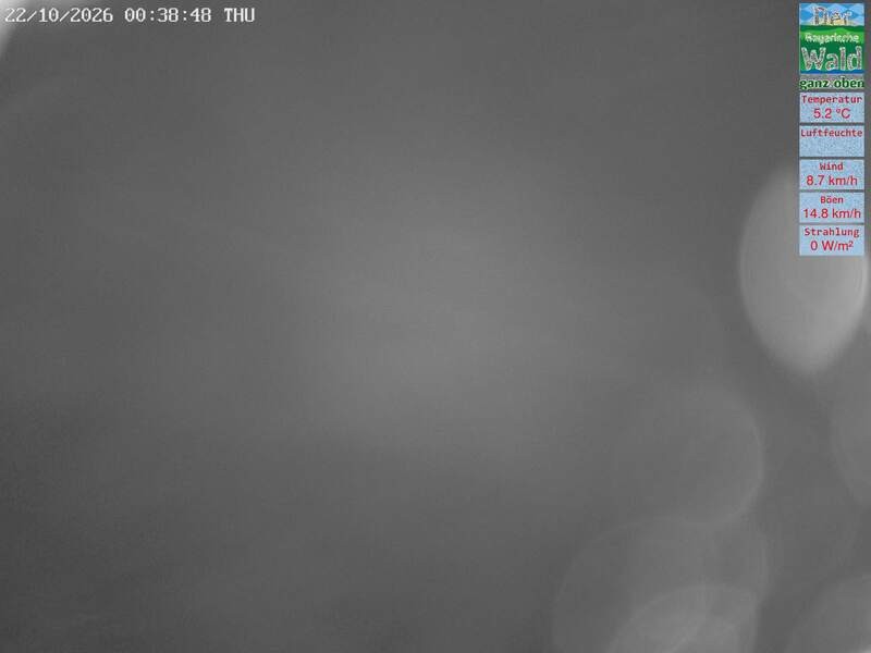 Archiv Foto Webcam DSV Nordic Aktivzentrum Waldmünchen-Althütte - Osten