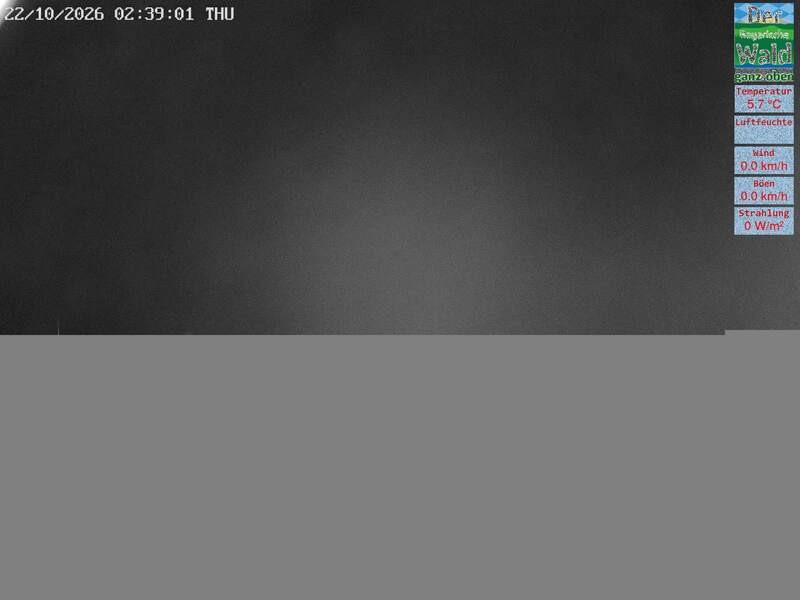Archiv Foto Webcam DSV Nordic Aktivzentrum Waldmünchen-Althütte - Osten