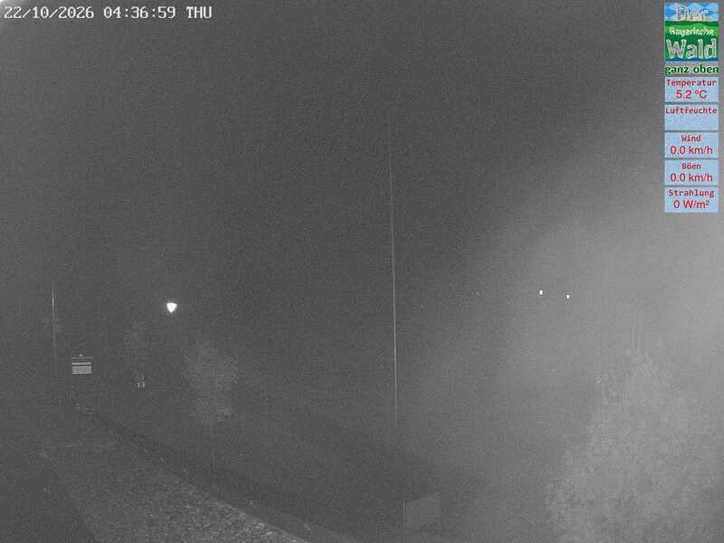 Archiv Foto Webcam DSV Nordic Aktivzentrum Waldmünchen-Althütte - Osten