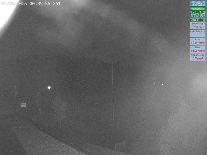 Archiv Foto Webcam DSV Nordic Aktivzentrum Waldmünchen-Althütte - Osten