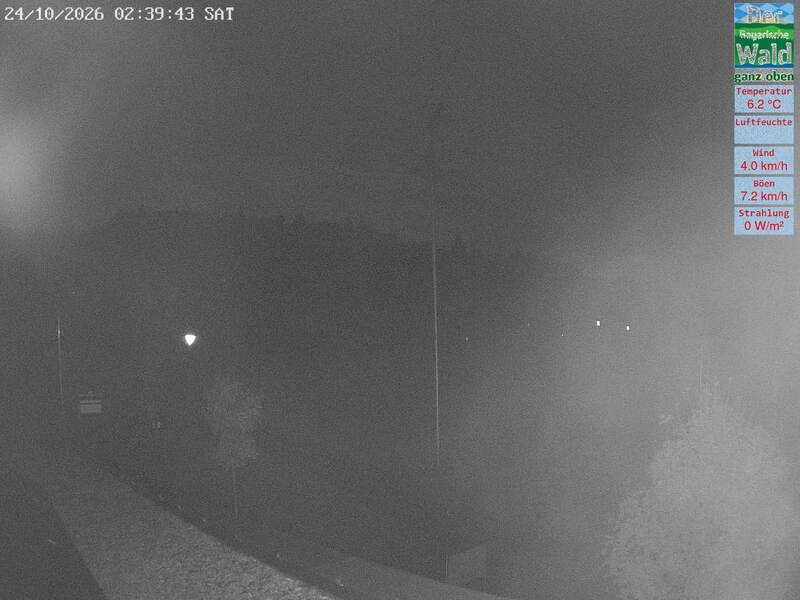 Archiv Foto Webcam DSV Nordic Aktivzentrum Waldmünchen-Althütte - Osten