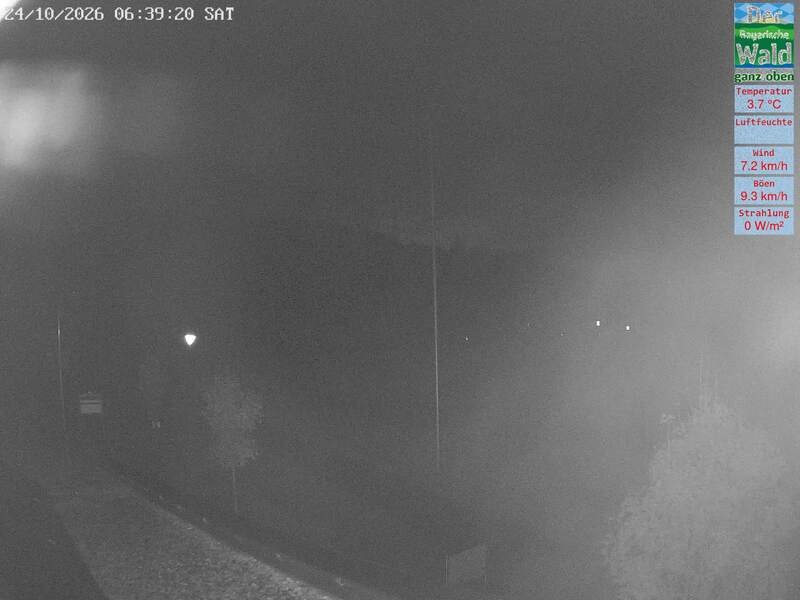 Archiv Foto Webcam DSV Nordic Aktivzentrum Waldmünchen-Althütte - Osten