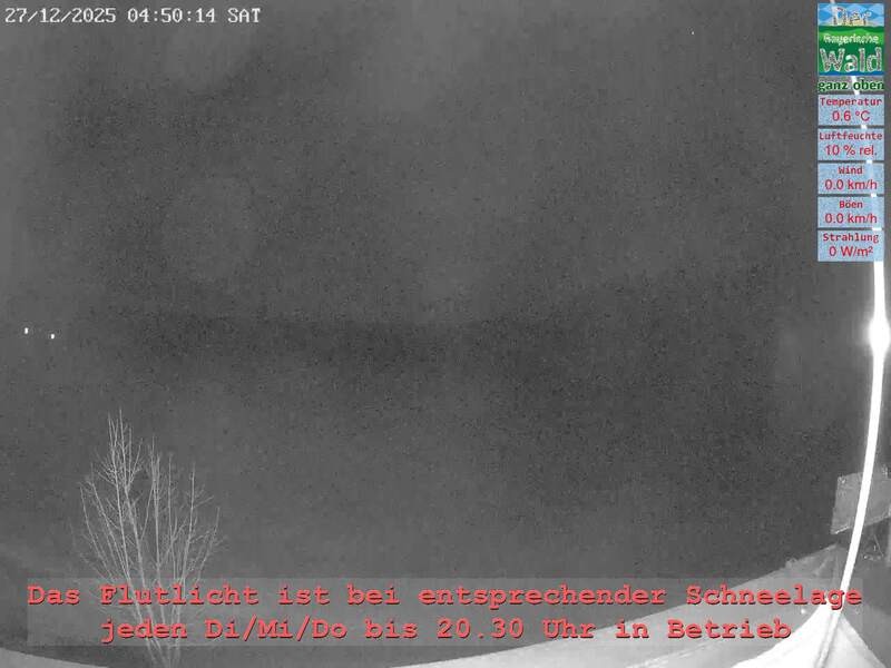 Archiv Foto Webcam Naturpark Oberer Bayerischer Wald - Infopunkt Althütte