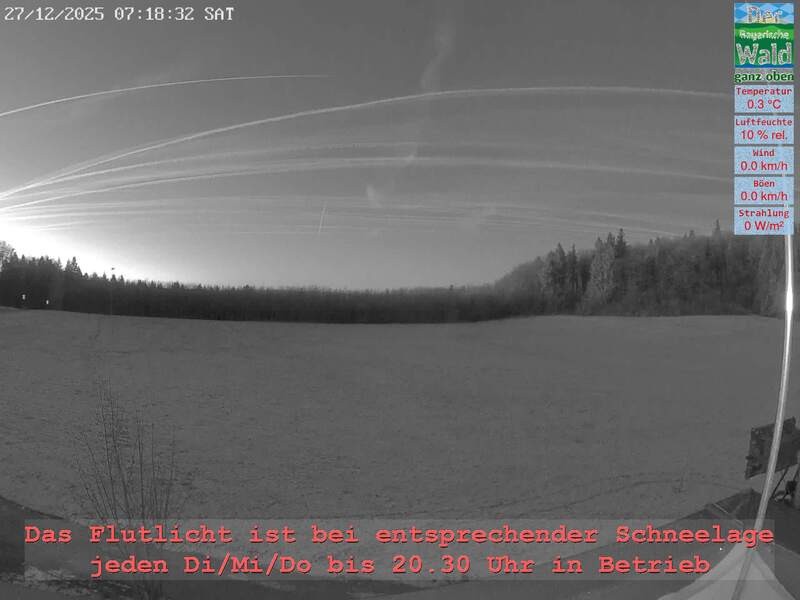 Archiv Foto Webcam Naturpark Oberer Bayerischer Wald - Infopunkt Althütte