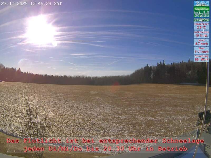 Archiv Foto Webcam Naturpark Oberer Bayerischer Wald - Infopunkt Althütte