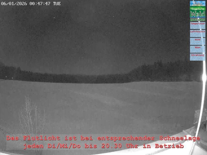 Archiv Foto Webcam Naturpark Oberer Bayerischer Wald - Infopunkt Althütte